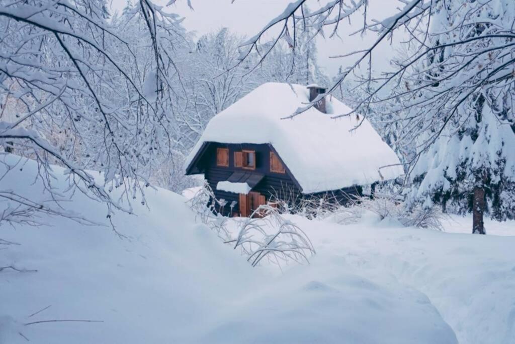 Cottage In The Woods - Lake Bohinj Dış mekan fotoğraf